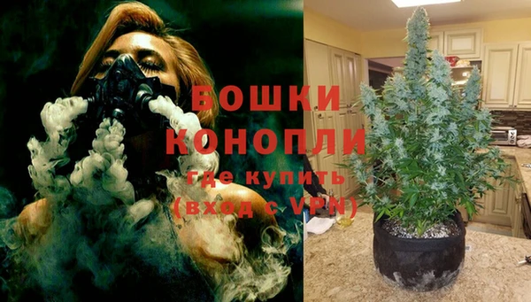 ГАЛЛЮЦИНОГЕННЫЕ ГРИБЫ Абаза