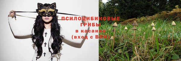 ГАЛЛЮЦИНОГЕННЫЕ ГРИБЫ Абаза