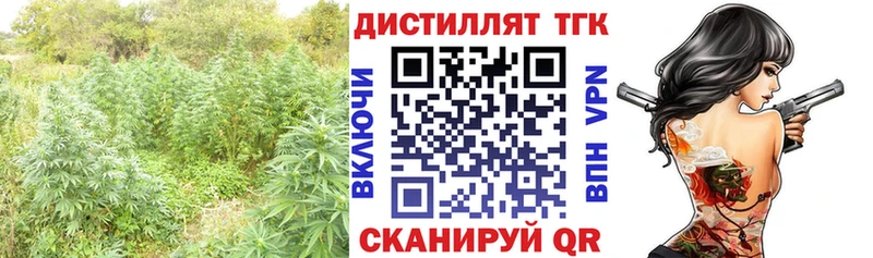 как найти Псков ТГК THC oil