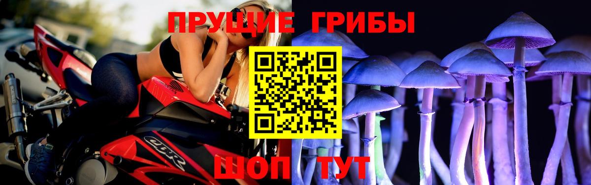Псилоцибиновые грибы мицелий Псков